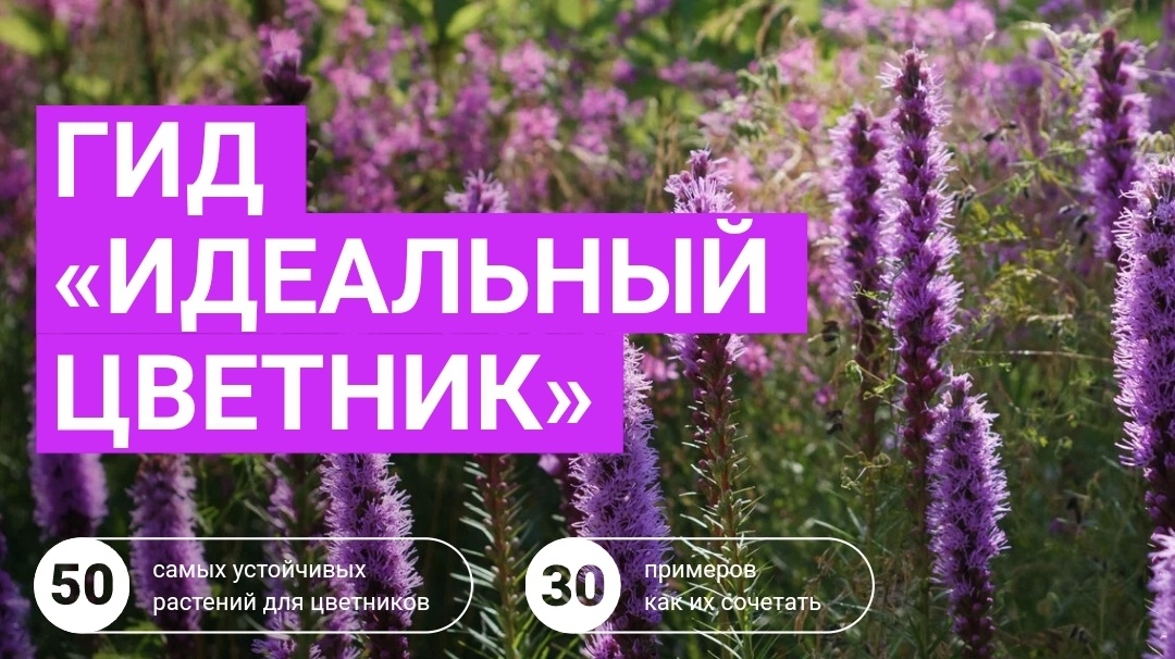 [Марина Берестова] Гид «Идеальный цветник» (2023)_0.jpg